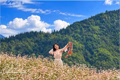 Si le printemps est marqué par les fleurs de pêcher et de prunier, l’automne offre à Lung Cu les couleurs délicates du sarrasin, devenu un symbole du plateau karstique de Dong Van. Photo: VNA 