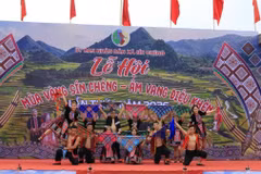 Le Festival des rizières dorées de Sín Chéng. Photo: VOV