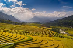 La beauté envoûtante de Sa Pa pendant la saison des récoltes de riz. Photo : VNA. 