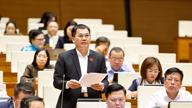 Le député Duong Khac Mai, de la province de Lâm Dông, intervenant lors du débat à l’Assemblée nationale, à Hanoi, le 22 août. Photo : VNA.