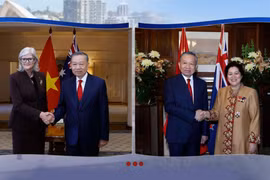 Une nouvelle étape de développement pour les relations entre le Vietnam et ses partenaires du Pacifique Sud