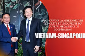 Promouvoir la mise en œuvre concrète et vigoureuse du nouveau mécanisme de coopération Vietnam-Singapour