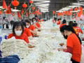 Des ouvrières au travail dans une entreprise textile et de confection. Photo d'illustration. Photo : VNA.