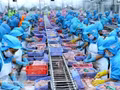 Entreprise vietnamienne spécialisée dans la transformation de produits aquatiques destinés à l’exportation vers la Nouvelle-Zélande. Photo d’illustration : VNA.