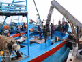 Dans la province de Dong Thap, les bateaux de pêche stockent de la glace dans leurs cale sèches afin de conserver les produits de la mer lors de leurs sorties en mer. Photo : VNA.