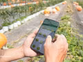 Accélération de l’application des sciences et des technologies dans la production agricole. Photo : VNA.