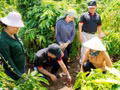 De l’EUDR à l’opportunité d’accroître la valeur du café vietnamien
