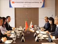 Le directeur général de Petrovietnam, Le Manh Cuong, s’entretient avec le président-directeur général de KEPCO, Kim Dong-cheol. (Source : pvn.vn)