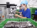 L’entreprise à capitaux français Neo Optical, située dans la province de Bac Ninh, est spécialisée dans la fabrication de lunettes destinées à l’exportation et emploie plusieurs centaines de personnes. Photo : VNA.