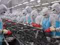 Le secteur des produits aquatiques est en première ligne pour récolter les fruits du VEFTA. Photo : VNA.