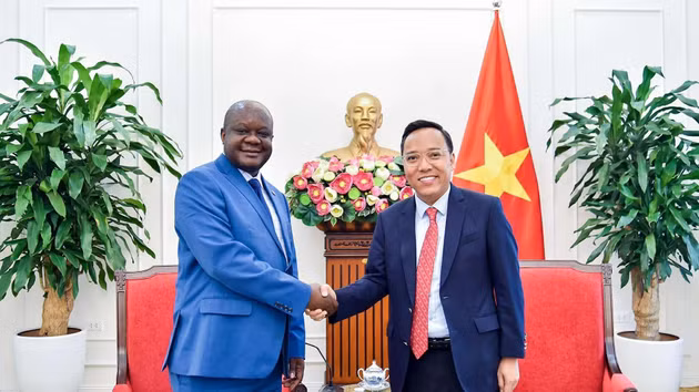 Le vice-ministre des Affaires étrangères Nguyen Hoang Long (à droite) reçoit le ministre délégué en charge de la Francophonie du ministère des Affaires étrangères de la RDC, Crispin Mbadu Phanzu. (Photo : Quang Hoa)