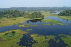La 2e version de « Vietnam Wild Live » ouvre la voie à l'exploration du Parc national de Cat Tien. Photo : VTV.