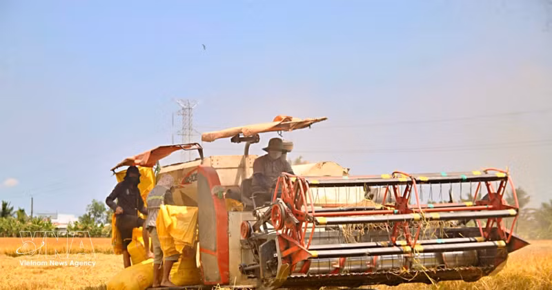 La production agricole figure parmi les principaux secteurs émetteurs de gaz à effet de serre. Photo : VNA. 