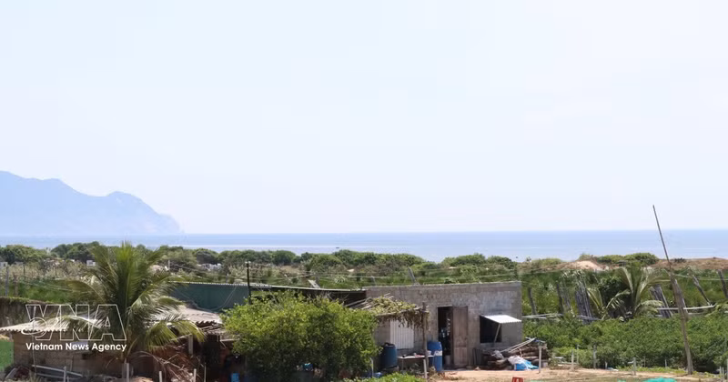 La zone de construction de la centrale nucléaire de Ninh Thuan 2 se trouve dans le village de Thai An, commune de Vinh Hai. Photo : VNA 