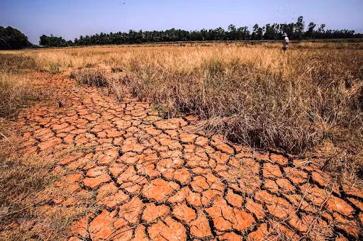 Le Japon propose une coopération avec l'ASEAN en matière de prévention des catastrophes naturelles