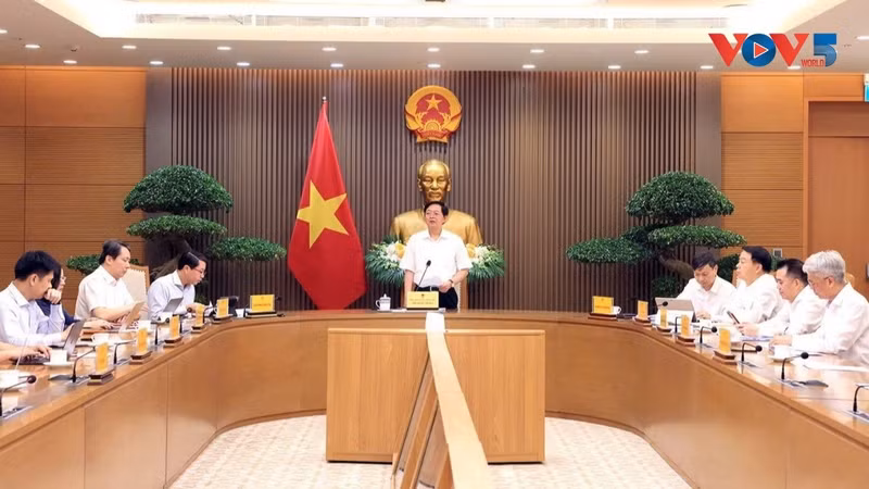 Le vice-Premier ministre vietnamien Ho Quoc Dung s'exprime lors de la réunion. Photo : VOV.