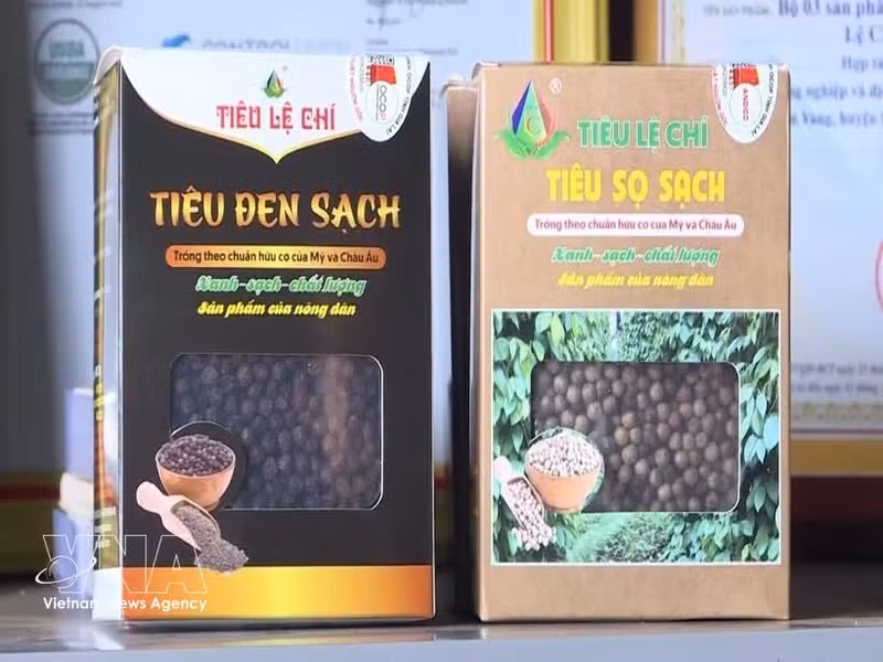 Les produits à base de poivre de la Coopérative agricole et de services de Nam Yang, dans la commune de Kon Gang (province de Gia Lai), ont obtenu la certification biologique USDA (États-Unis). Photo : VNA 