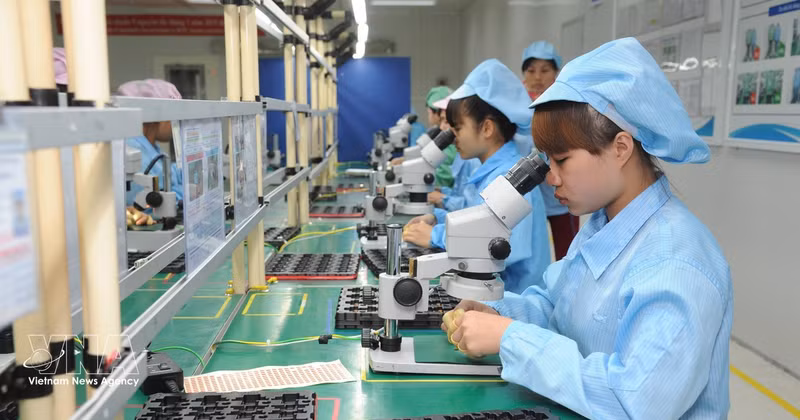 Contrôle de la qualité des produits avant leur expédition chez Vietonic, dans la zone industrielle de Dinh Tram, province de Bac Ninh. Photo : VNA 