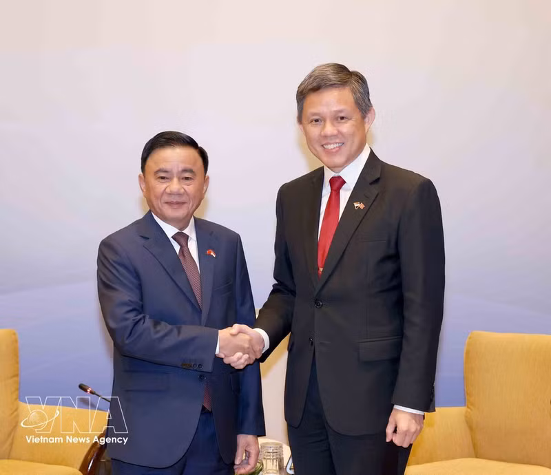 Le membre du Bureau politique et permanent du Secrétariat du Comité central du Parti communiste du Vietnam (PCV), Tran Cam Tu (gauche), et Chan Chun Sing, secrétaire général adjoint du Parti d’action populaire (PAP), ministre de la Défense et ministre chargé de la coordination des services publics de Singapour. Photo: VNA