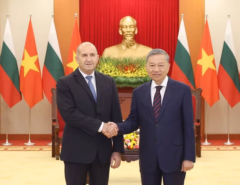 Le secrétaire général du Parti communiste du Vietnam, Tô Lâm (à droite), et le président bulgare Roumen Radev, le 25 novembre 2024 à Hanoi. Photo : VNA.
