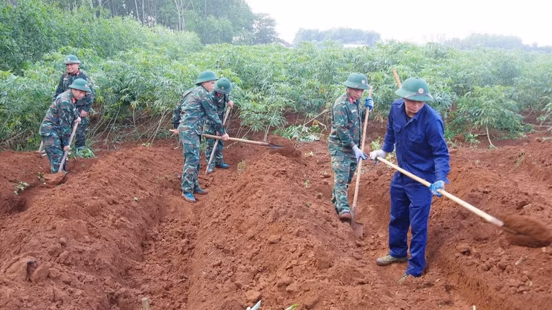 L’Équipe n°2 de recherche et de rassemblement des restes de martyrs, relevant du Département politique du Commandement militaire de la province de Quang Tri, recherche les restes de 11 martyrs des forces spéciales tombés lors de la bataille du 29 avril 1965. Photo : Xuan Dien/NDEL.