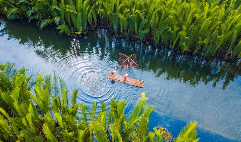 L’intégration du « bài chòi » aux activités touristiques dans la mangrove de cocotiers d’eau de Tinh Khe contribue non seulement à enrichir l’offre touristique, mais aussi à créer un nouvel espace où ce patrimoine peut être pratiqué, transmis et faire rayonner la culture au cœur de la vie quotidienne. Photo : Doan Vuong Quoc