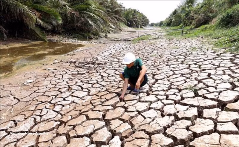 Efforts déployés pour faire face aux changements climatiques. Photo : VNA. 