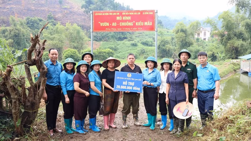 Le syndicat des travailleurs de la province de Lang Son, le poste de garde-frontière de Bao Lam et la commune de Dong Dang mettent ensemble en place un système modèle « jardin-étang-élevage ». Photo : NDEL 