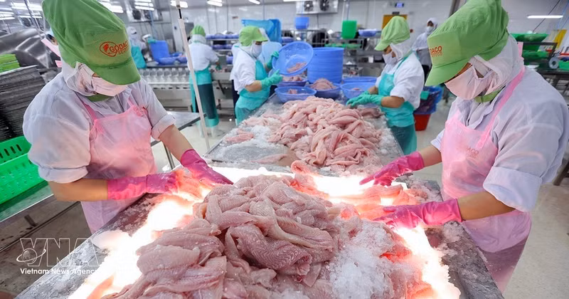 Les exportations aquatiques progressent de 12,3 %, à 9,17 milliards de dollars. Photo : VNA. 