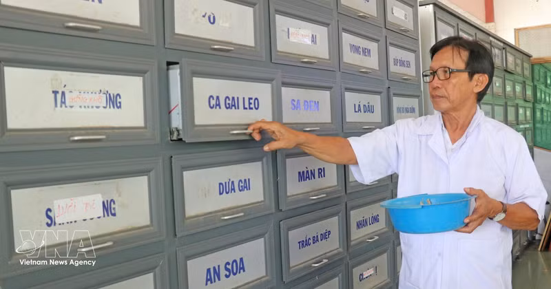 Le Vietnam entend faire de la médecine traditionnelle un pilier de son système de santé et un secteur économique à forte valeur ajoutée. Photo : VNA.