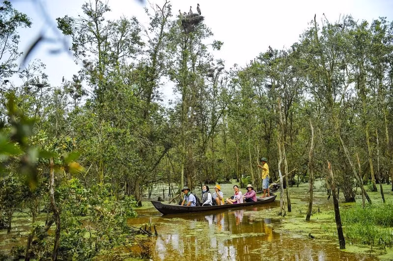 Visiteurs au Parc national de Tràm Chim. Photo : VNA