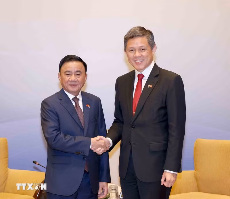 Le membre du Bureau politique et permanent du Secrétariat du CC du PCV, Tran Cam Tu (à gauche), et Chan Chun Sing, secrétaire général adjoint du PAP, ministre de la Défense et ministre chargé de la coordination des services publics de Singapour. Photo: VNA