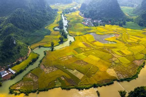  Cao Bang au temps des moissons