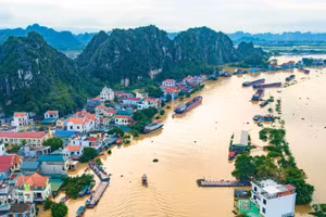 Le Premier ministre vietnamien ordonne une réponse proactive face aux pluies et aux inondations