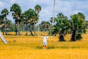 An Giang représente la beauté du delta du Mékong