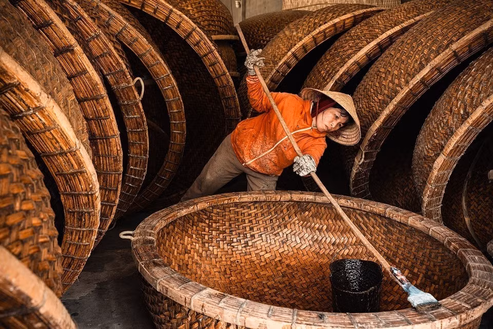 La technique d’étanchéification, transmise de génération en génération, utilise un mélange de bouse fraîche et de résine de l’arbre "dầu rai". Elle confère au bateau sa couleur caractéristique, le protège des termites et garantit une durée de vie de 4 à 5 ans en milieu marin. Photo : VNA.