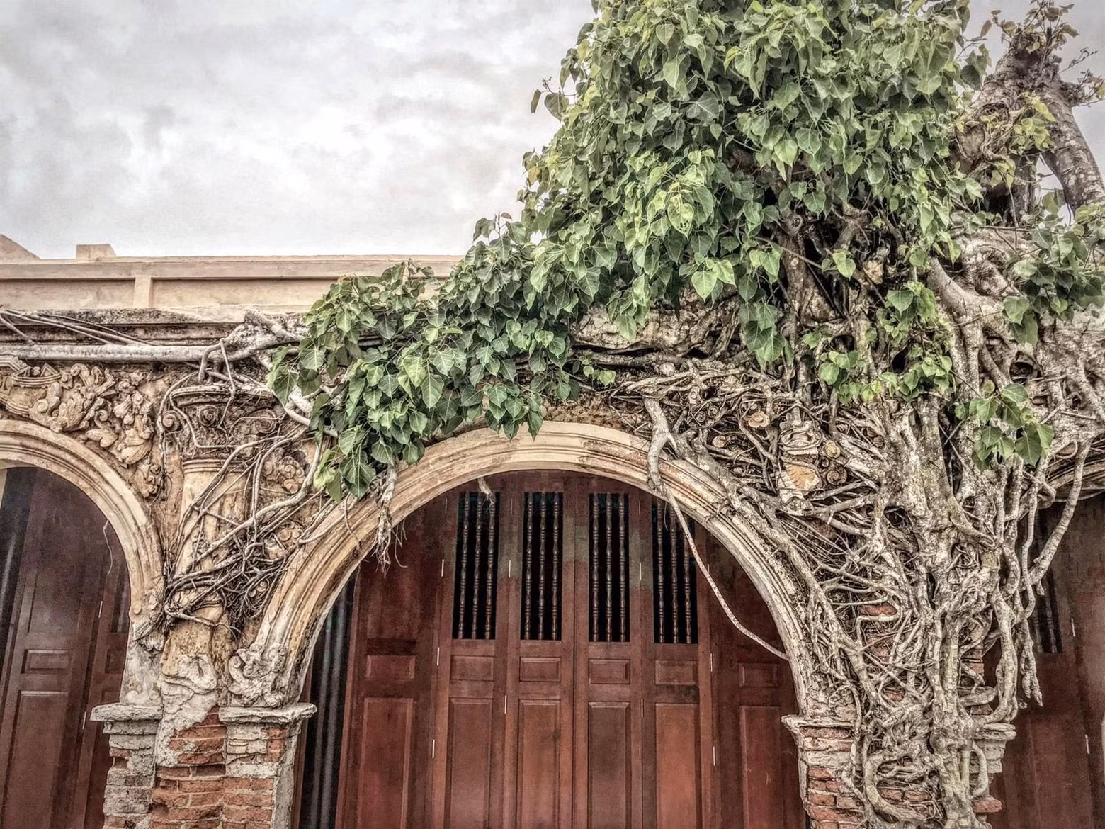 Les racines de deux arbres Bodhi renforcent non seulement la beauté ancienne de la maison communale de Tan Dong, mais elles contribuent également à soutenir la structure de l’ouvrage, évitant ainsi son effondrement après de nombreuses années d'abandon. Photo : thamhiemMekong