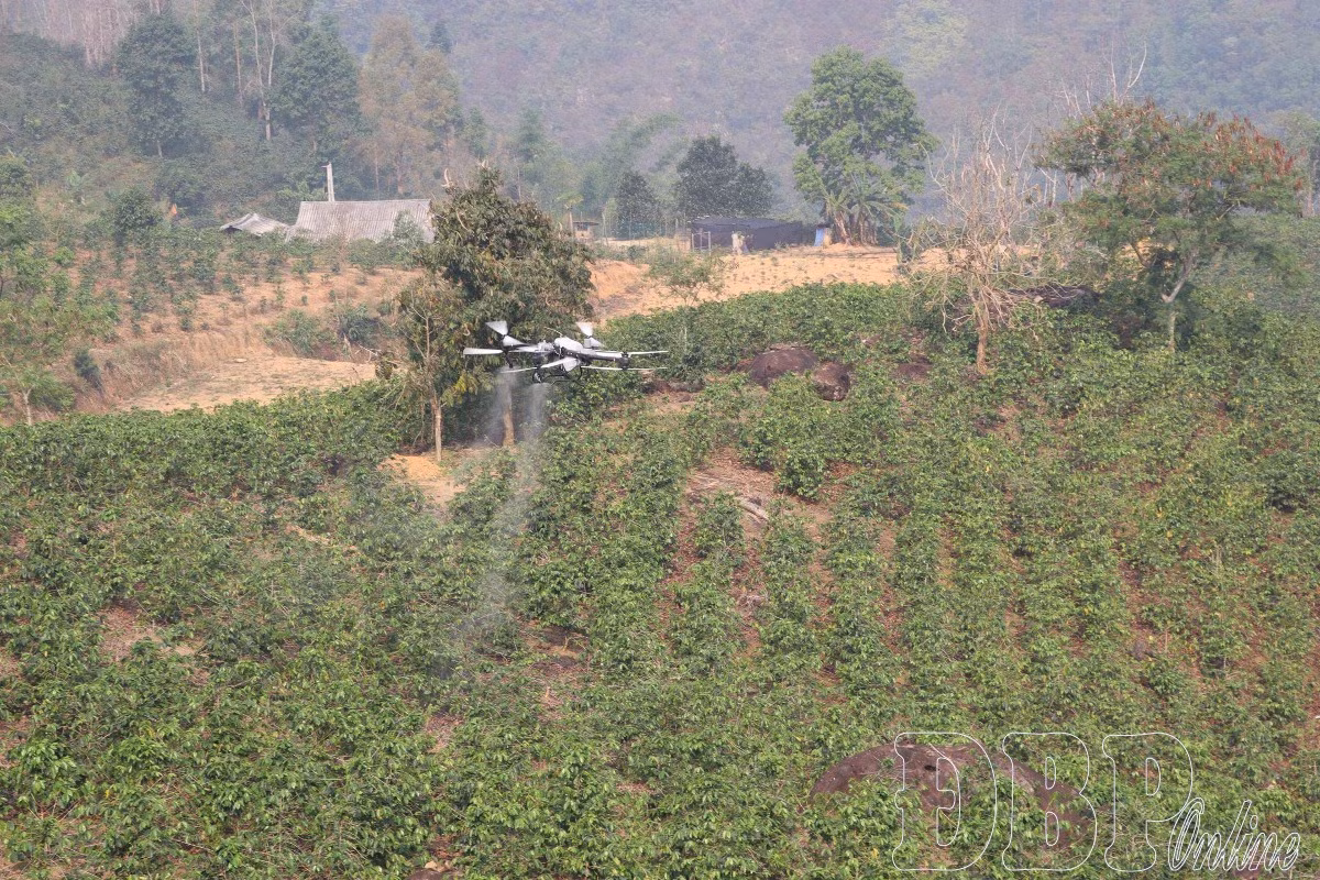 La commune de Muong Ang (province de Dien Bien) démontre l'application des drones lors d'un essai. Photo: baodienbienphu.vn