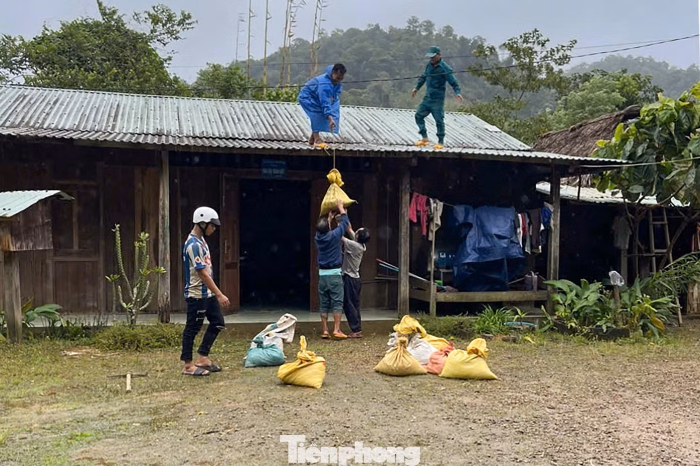 Des jeunes aident les habitants à renforcer leurs maisons. Photo : tienphong.vn