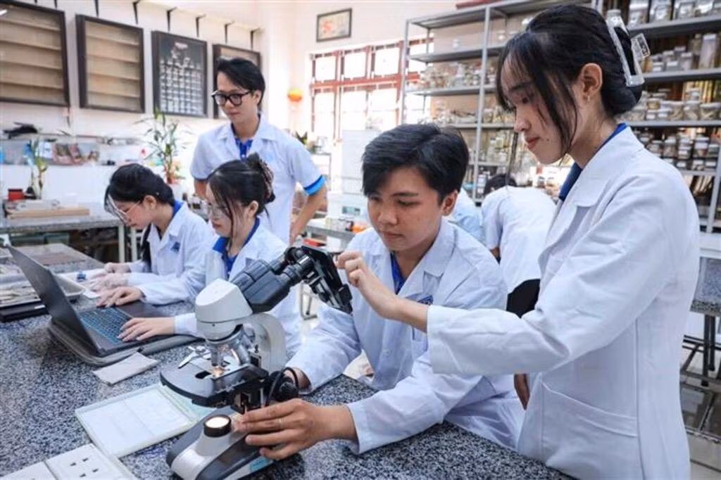 Recherche scientifique à l’Université de Can Tho (au Sud). Photo : VNA.