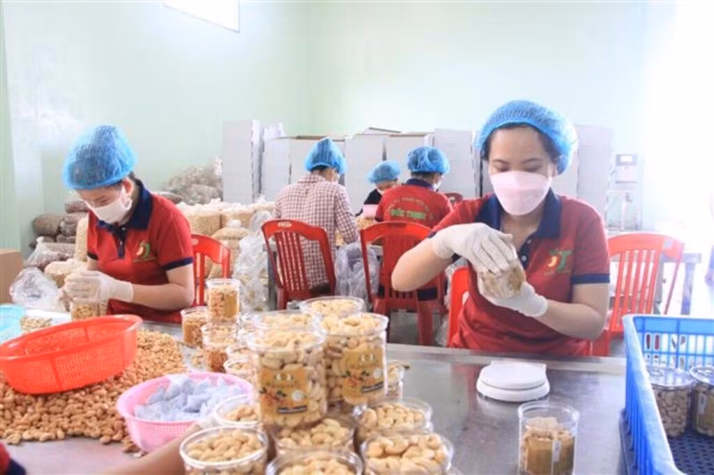 Emballage de noix de cajou chez la Compagnie commerciale Duc Thinh, dans la province de Dong Nai (Sud). Photo : VNA