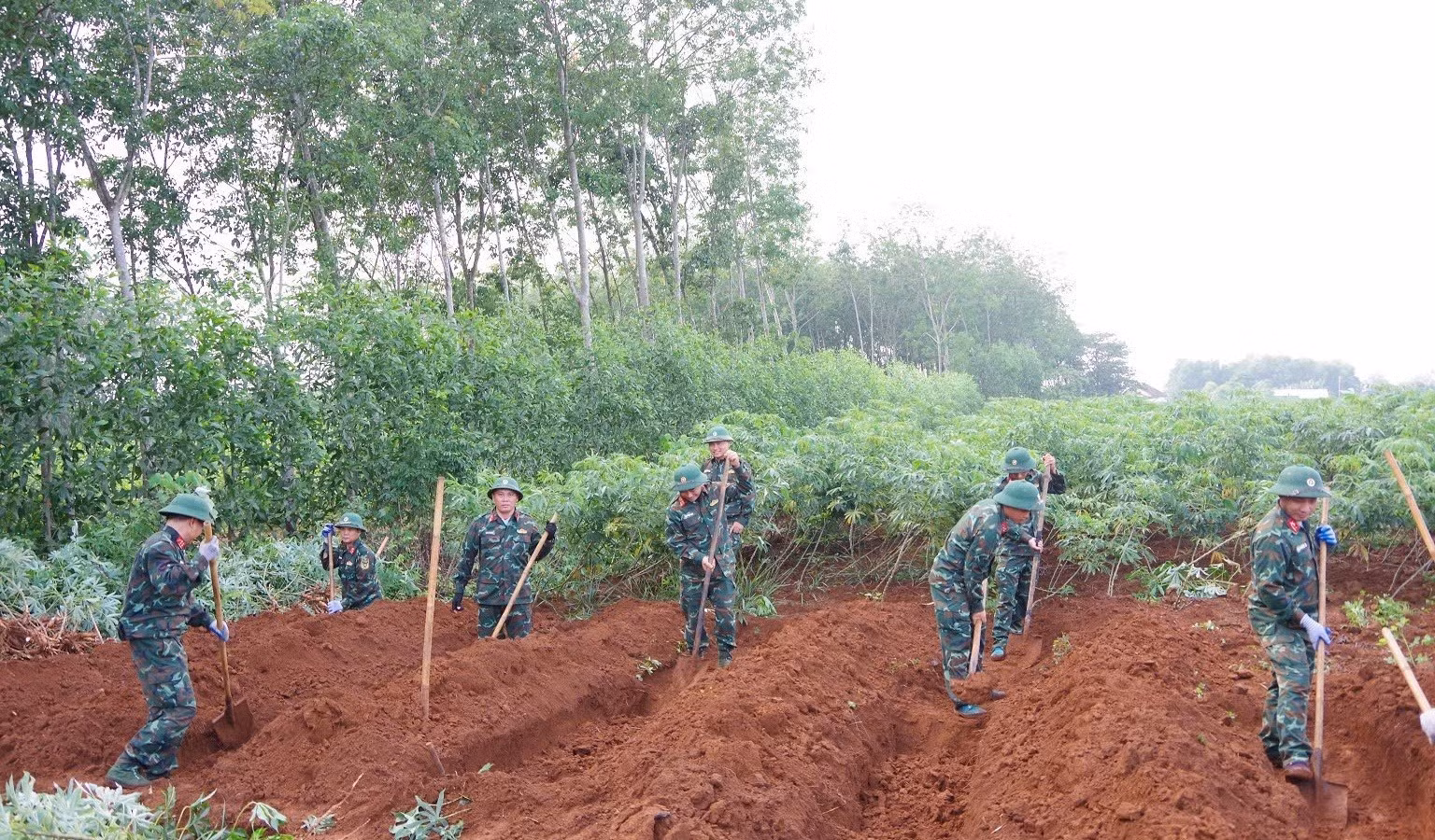 L’Équipe n° 2 de recherche et de rassemblement des restes de martyrs (relevant du Département politique du Commandement militaire de la province de Quang Tri) s'efforce de poursuivre, en coordination avec les organismes compétents, l’élargissement des recherches sur le site de Doc Mieu, dans la commune de Gio Linh. Photo : Xuan Dien/NDEL