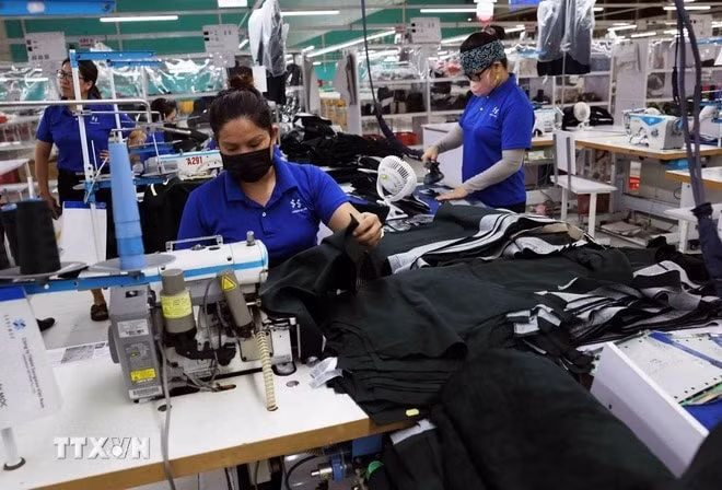 Production de vêtements pour l’exportation dans l’usine de la SARL SangWoo Vienam, dans le parc industriel Vietnam-Singapour à Nghê An. Photo : VNA
