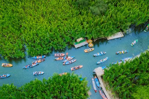 La verdoyante mangrove de cocotiers d'eau de Tinh Khe crée un espace fluvial paisible qui attire les visiteurs à l'exploration. Photo : Doan Vuong Quoc.