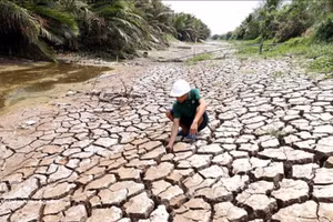 Efforts déployés pour faire face aux changements climatiques. Photo : VNA. 