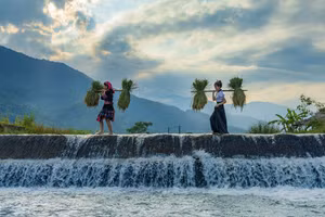 Photo : baolaocai.vn