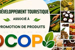 Développement touristique associé à la promotion de produits OCOP