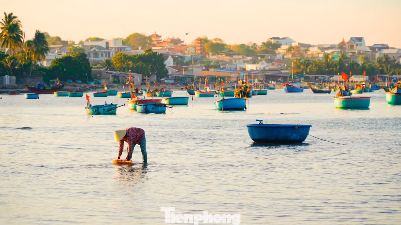 Mui Ne (quartier de Mui Ne, province de Lam Dong) ne séduit pas uniquement par ses longues plages et ses complexes hôteliers en bord de mer. Les visiteurs sont également attirés par un tout autre visage : celui d’un village de pêcheurs traditionnel et paisible, où le rythme de la vie commence dès les premières lueurs du jour. Photo : tiemphong.vn