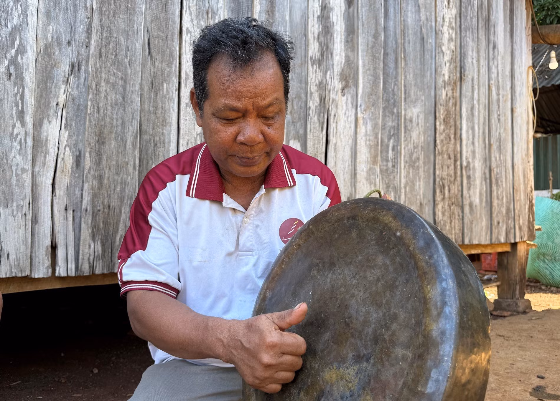 dt3.jpg