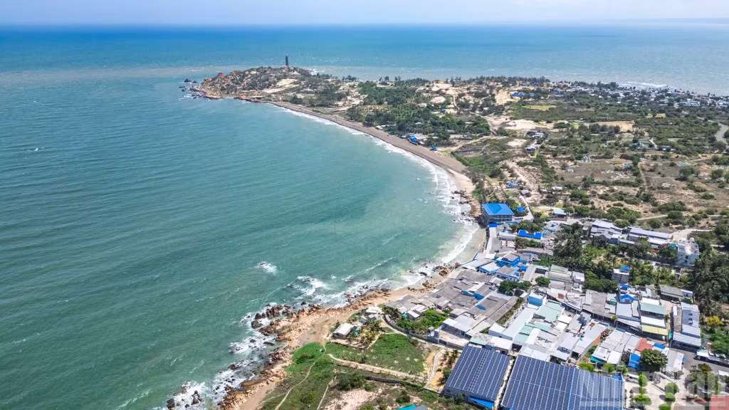 Le littoral de Co Thach, situé à environ 100 kilomètres au nord de la ville de Phan Thiet, s’étire en une courbe harmonieuse qui enlace les vastes eaux bleues de la mer. Photo : baoquangninh.vn